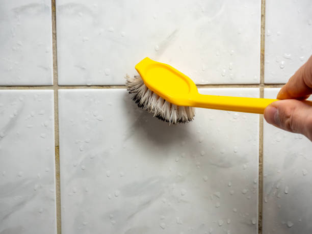 Best Basement Mold Remediation in Utica, MI
