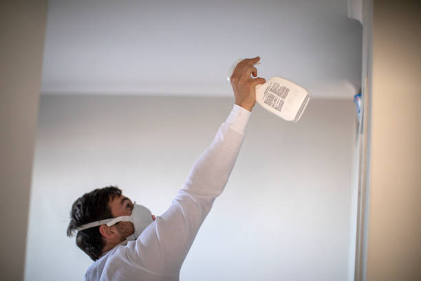 Reliable Utica, MI Mold Remediation Solutions